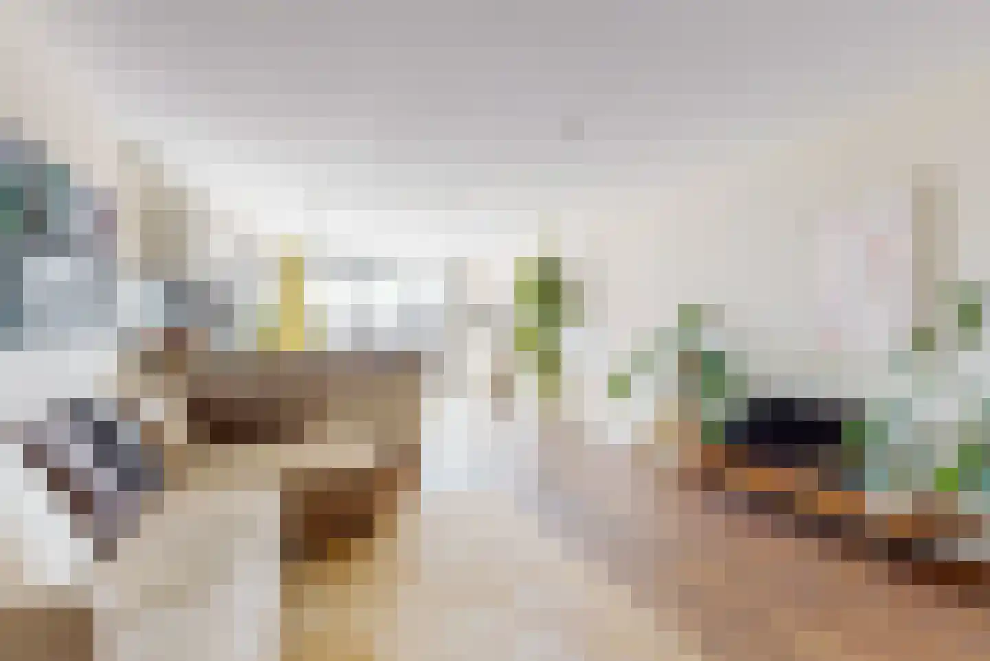 Utrechtse Jaagpad 47 F Leiden thumbnail 9