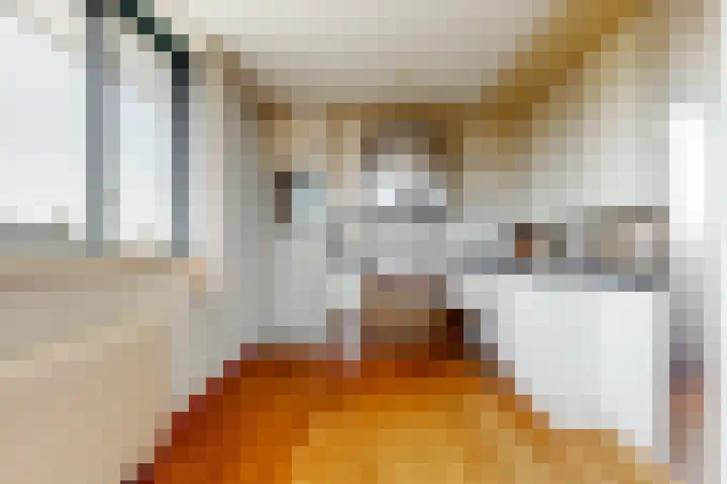 Utrechtse Jaagpad 47 H Leiden thumbnail 20