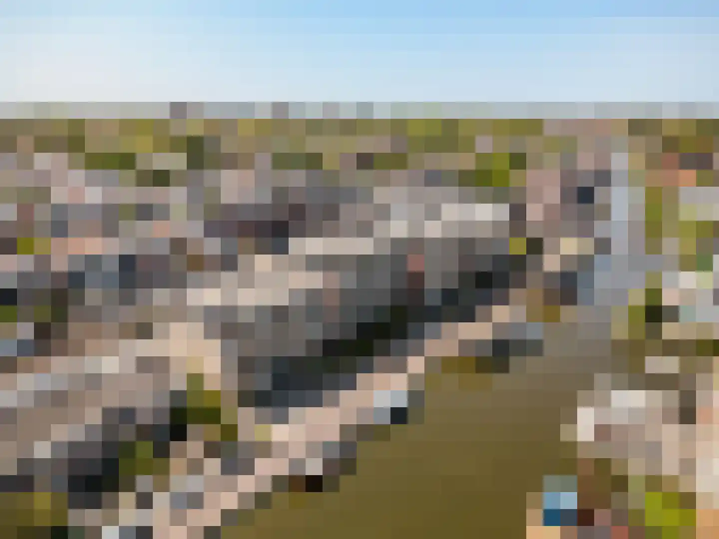 Utrechtse Jaagpad 47 H Leiden thumbnail 42