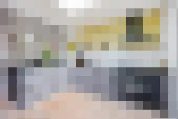 Utrechtse Jaagpad 97 Leiden thumbnail 13