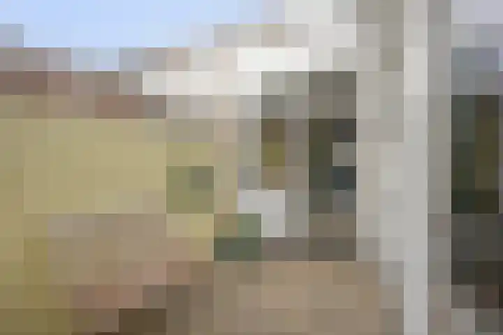 Utrechtse Jaagpad 97 Leiden thumbnail 21