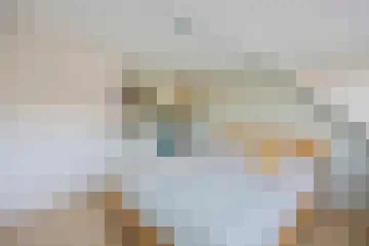 Utrechtse Jaagpad 97 Leiden thumbnail 24