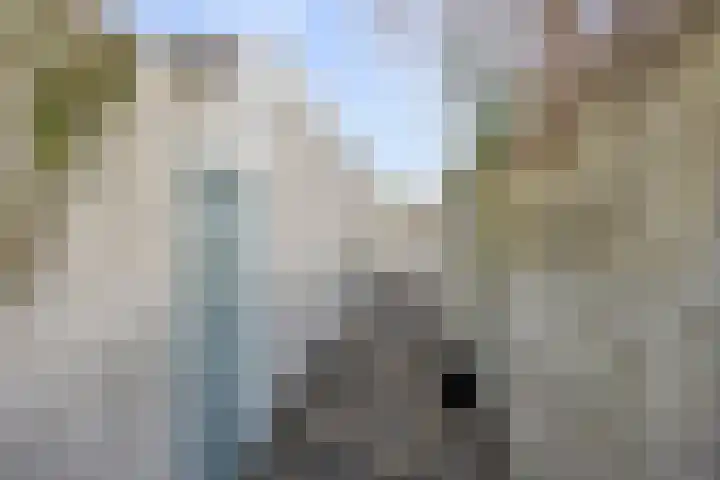 Utrechtse Jaagpad 97 Leiden thumbnail 35