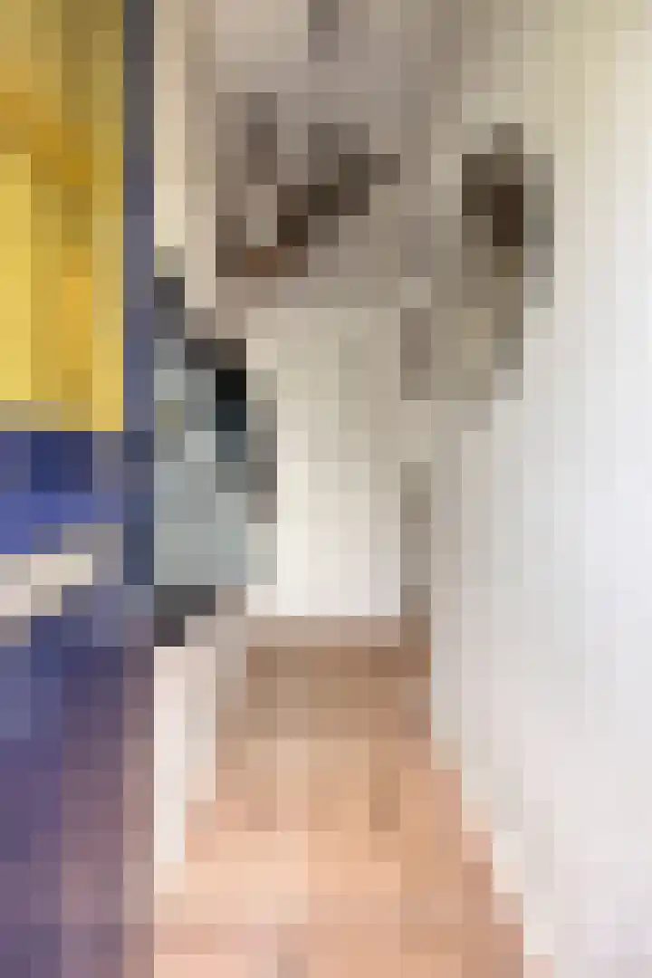 Utrechtse Jaagpad 97 Leiden thumbnail 5