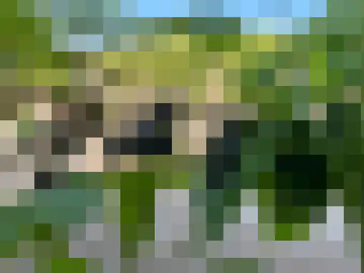 Utrechtse Jaagpad 97 Leiden thumbnail 51