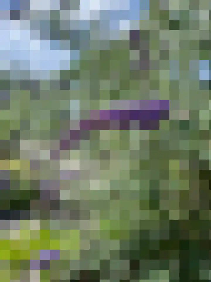 Utrechtse Jaagpad 97 Leiden thumbnail 53
