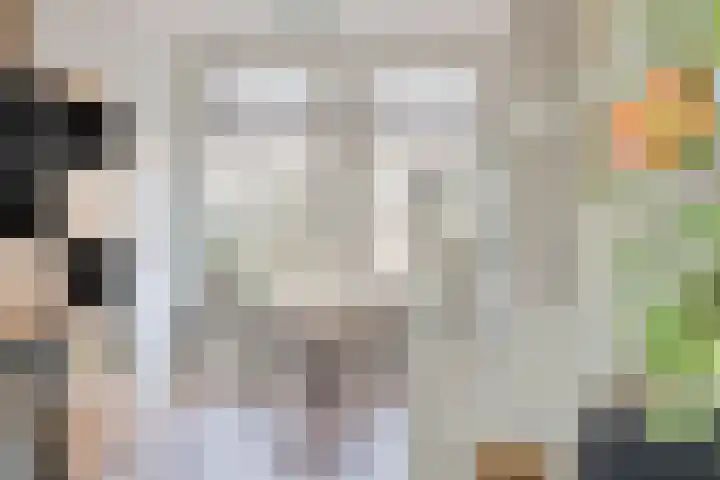 Utrechtse Jaagpad 97 Leiden thumbnail 6