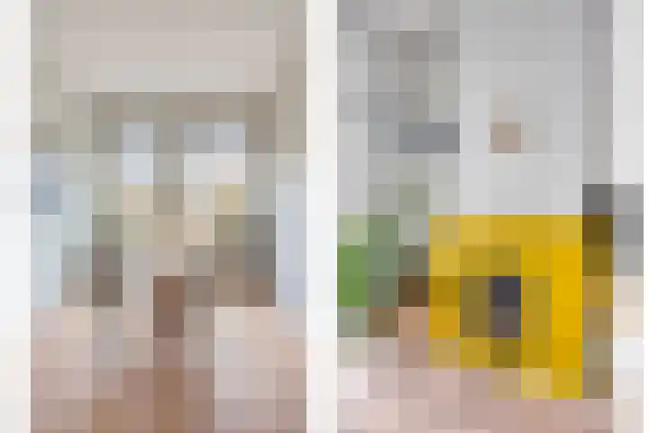 Utrechtse Jaagpad 97 Leiden thumbnail 9