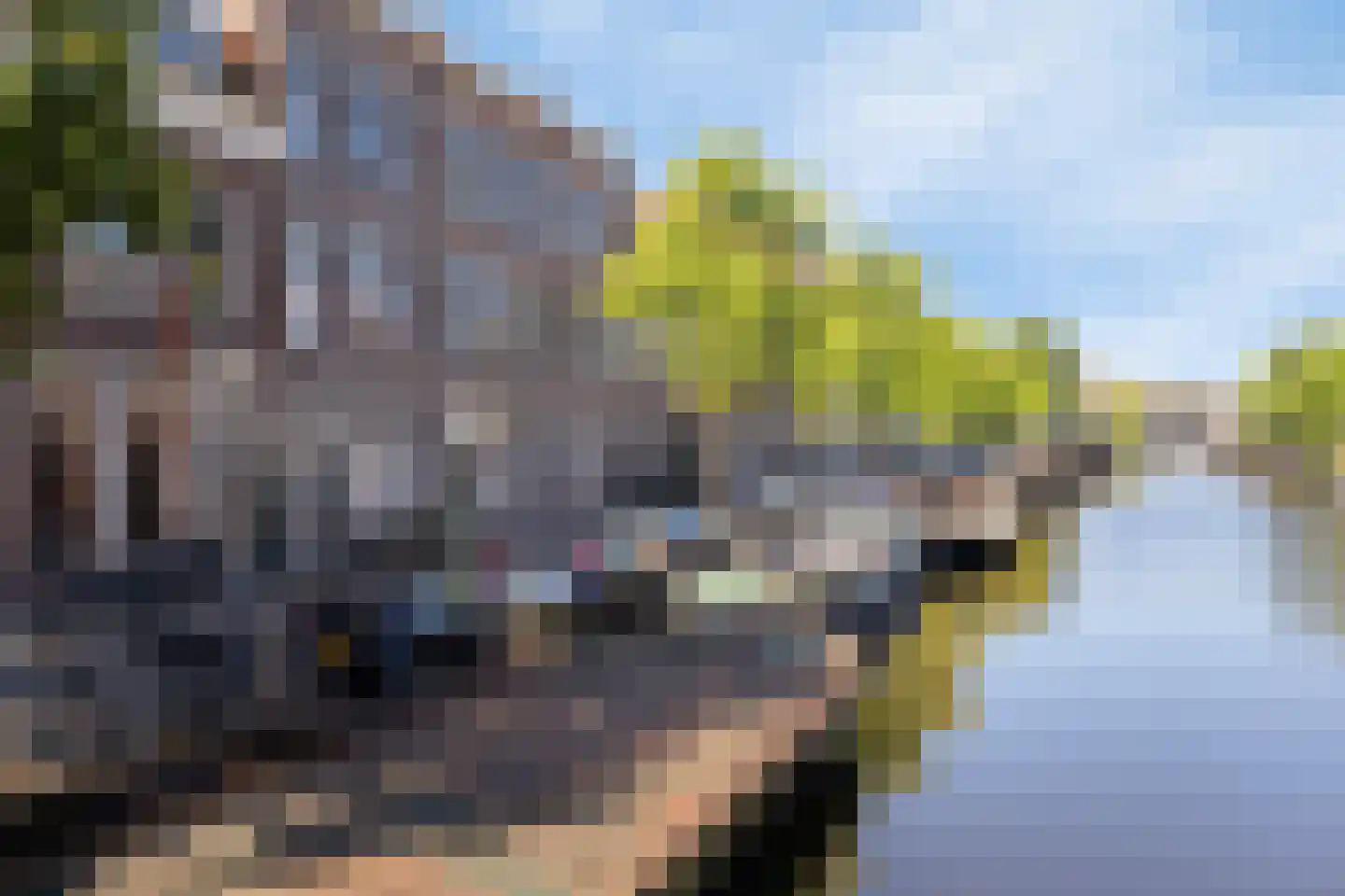 Utrechtse Veer 12 Leiden thumbnail 5