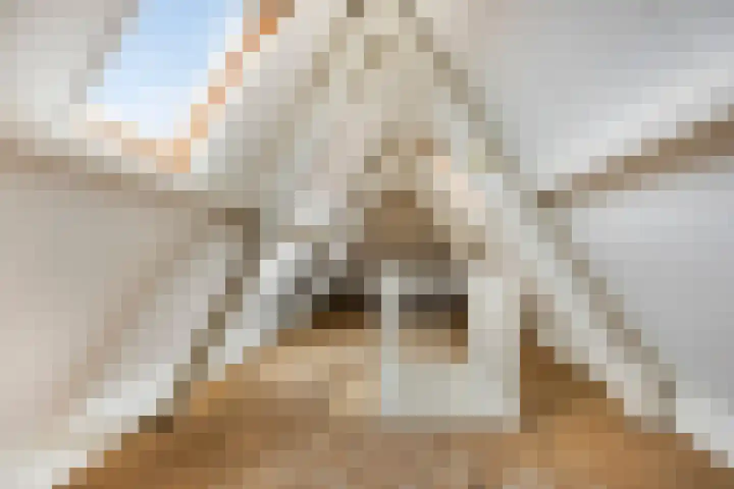 Utrechtse Veer 15 B Leiden thumbnail 18