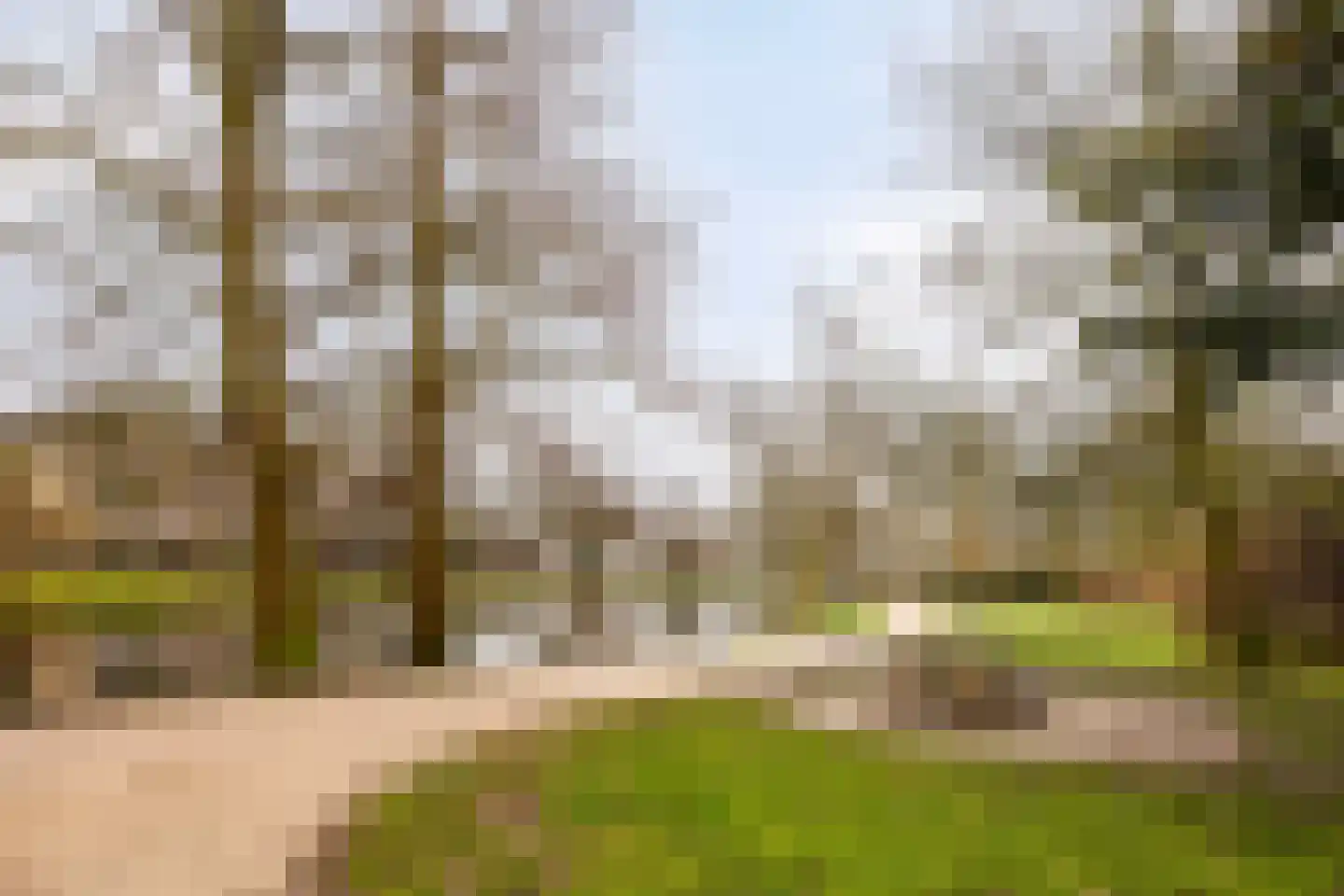 Utrechtse Veer 15 B Leiden thumbnail 20