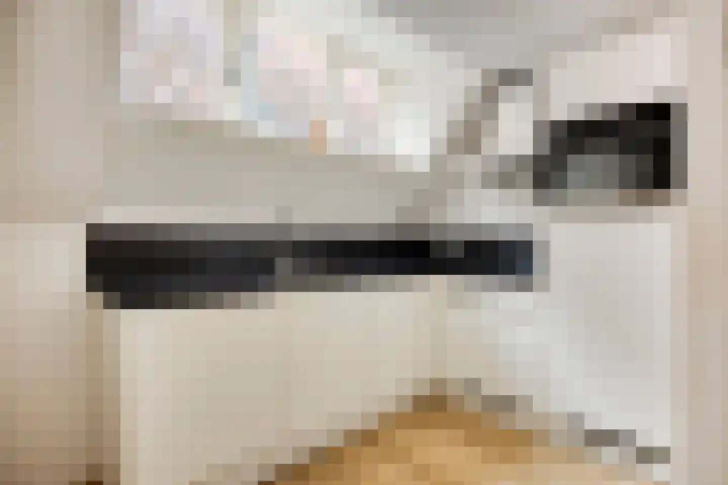 Utrechtse Veer 15 B Leiden thumbnail 8