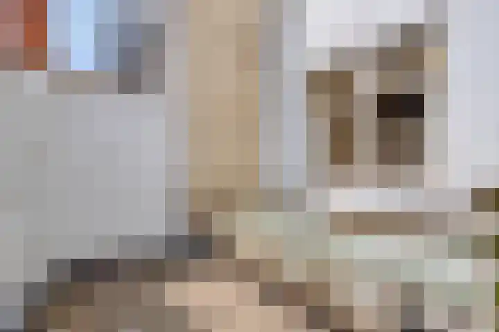 Utrechtse Veer 15 Leiden thumbnail 24