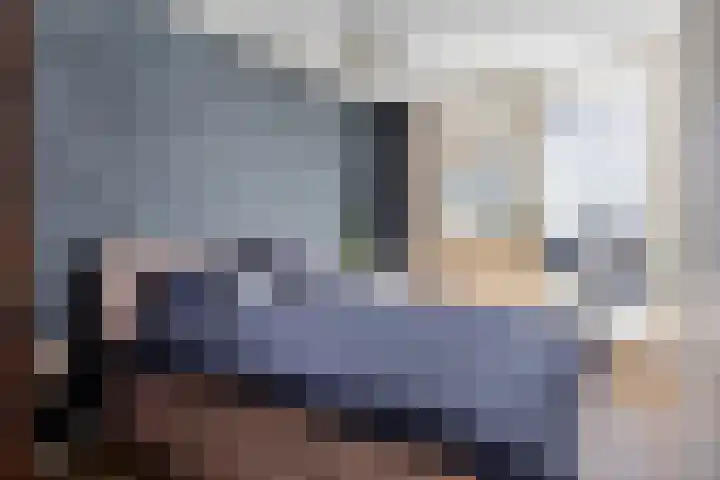 Utrechtse Veer 2 C Leiden thumbnail 12