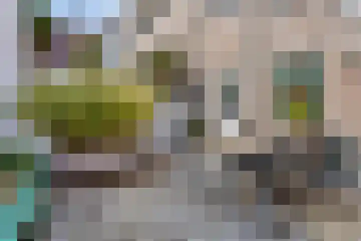 Utrechtse Veer 2 C Leiden thumbnail 16
