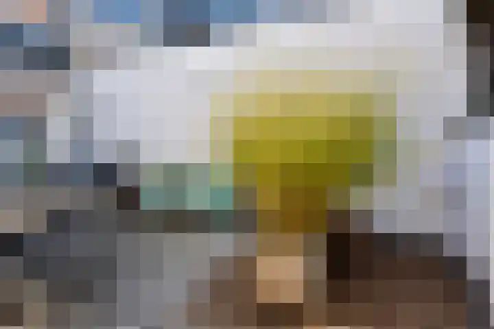Utrechtse Veer 2 C Leiden thumbnail 17