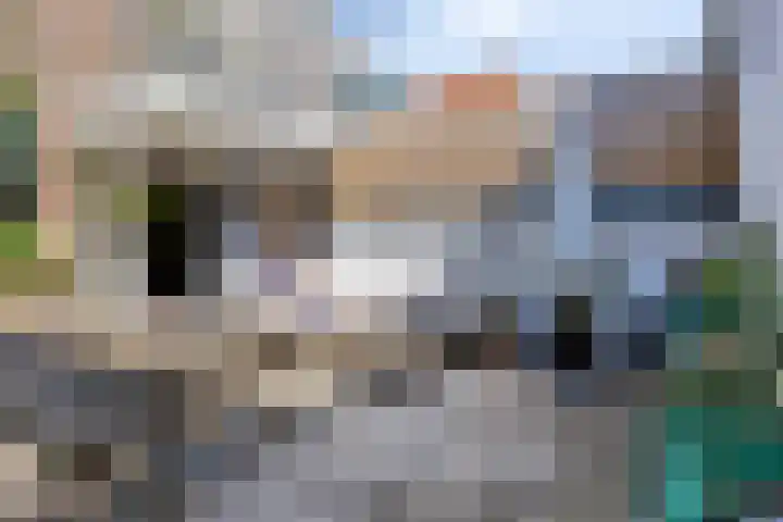 Utrechtse Veer 2 C Leiden thumbnail 4