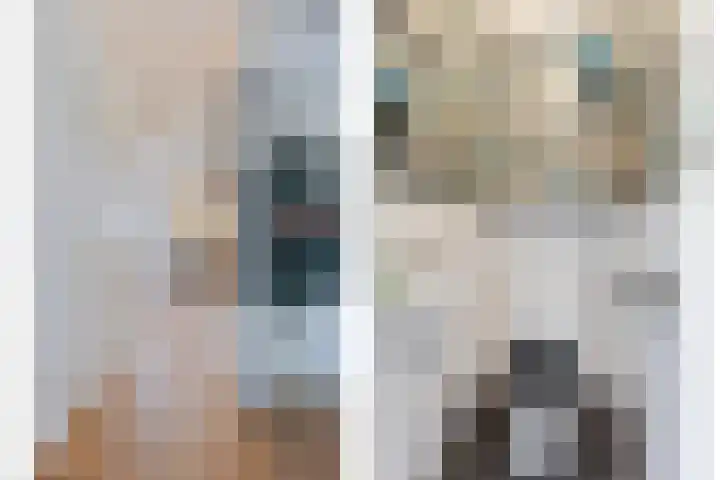 Utrechtse Veer 2 C Leiden thumbnail 8
