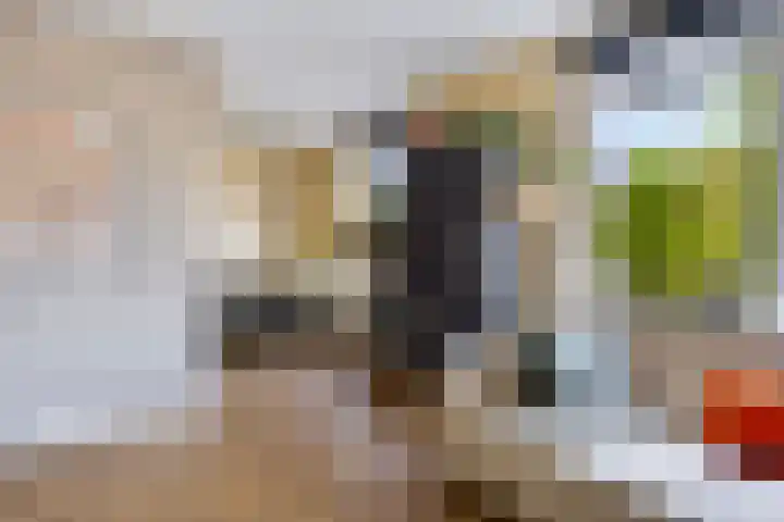 Utrechtse Veer 2 C Leiden thumbnail 9