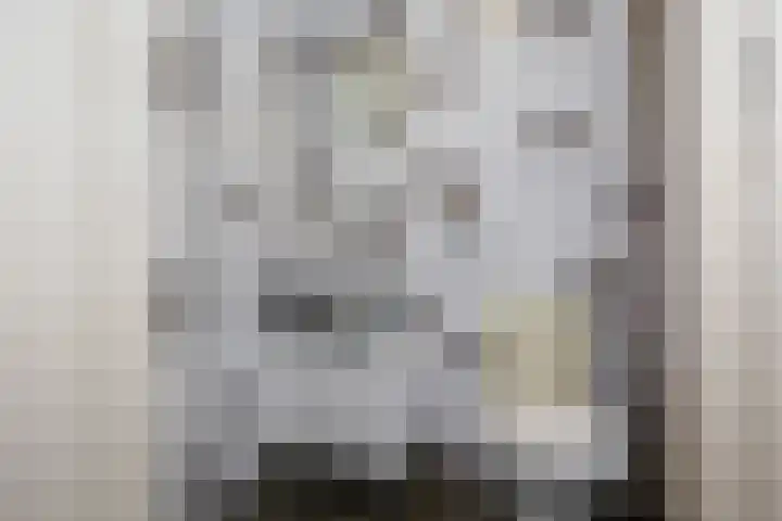 Utrechtse Veer 22 D Leiden thumbnail 4