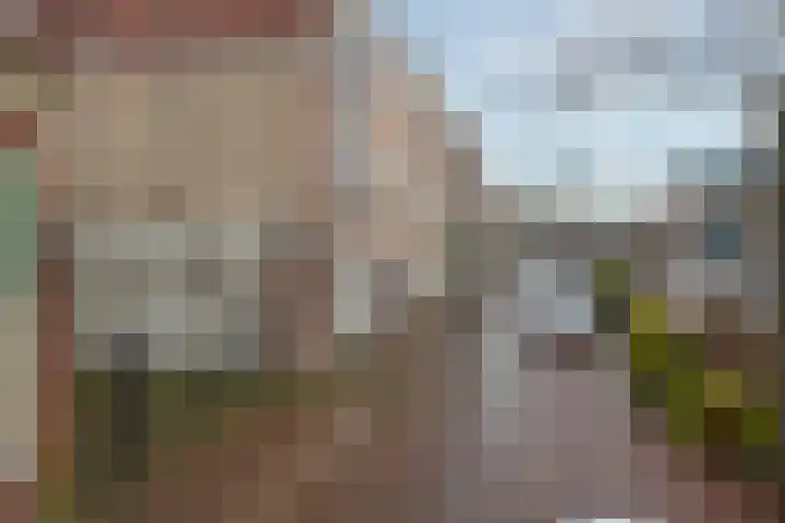 Utrechtse Veer 22 D Leiden thumbnail 9