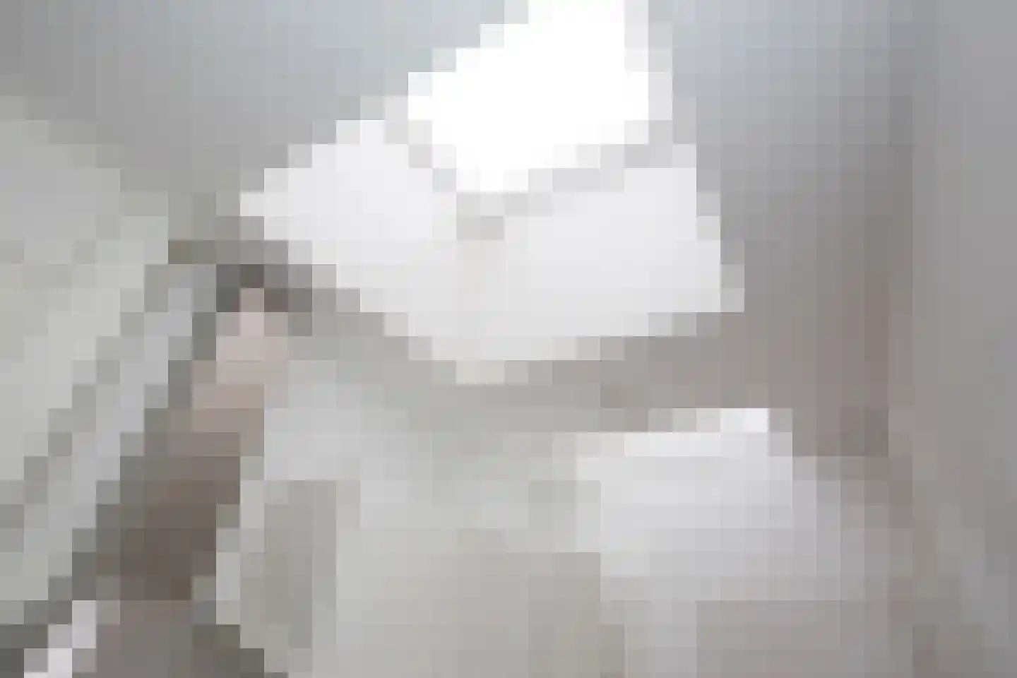 Utrechtse Veer 22 Leiden thumbnail 17