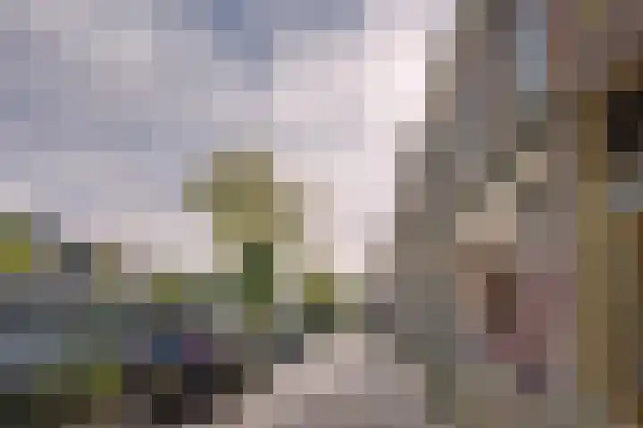 Utrechtse Veer 23 A Leiden thumbnail 17