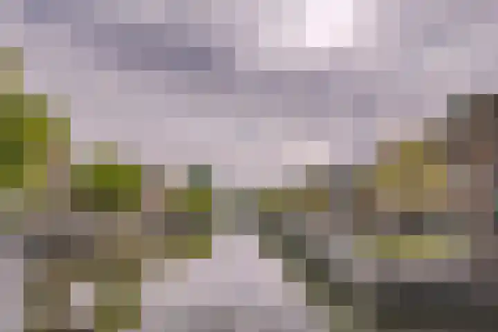 Utrechtse Veer 23 A Leiden thumbnail 20