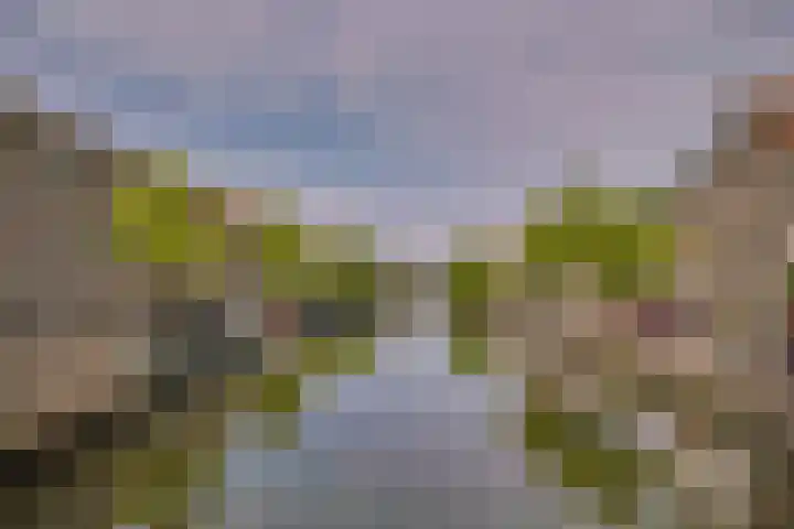 Utrechtse Veer 23 A Leiden thumbnail 21