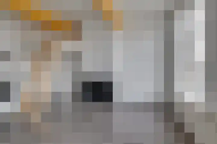 Utrechtse Veer 23 B Leiden thumbnail 4