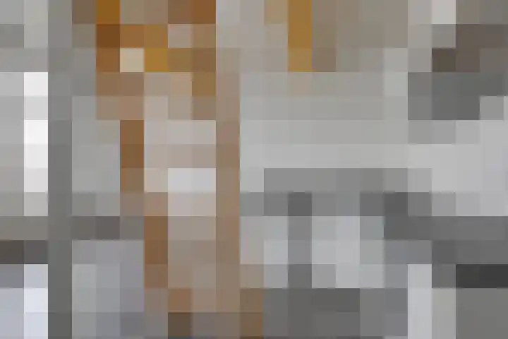 Utrechtse Veer 23 B Leiden thumbnail 8