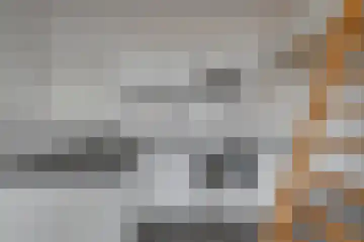Utrechtse Veer 23 B Leiden thumbnail 9