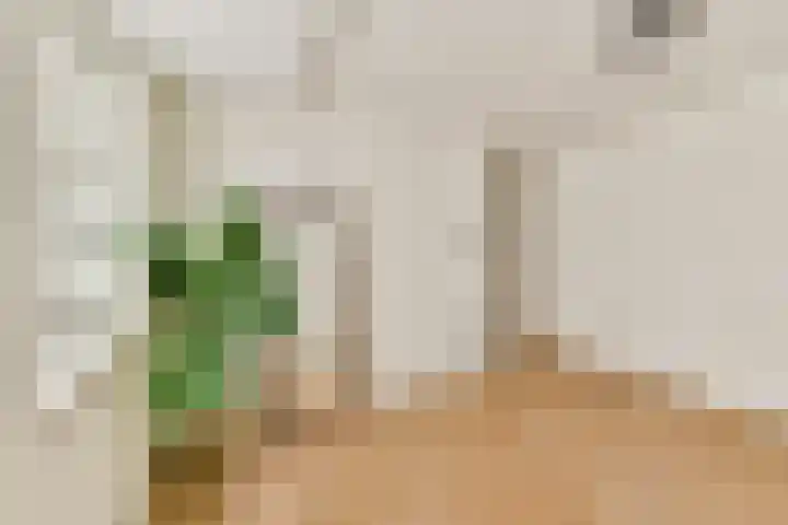 Utrechtse Veer 4 A Leiden thumbnail 14