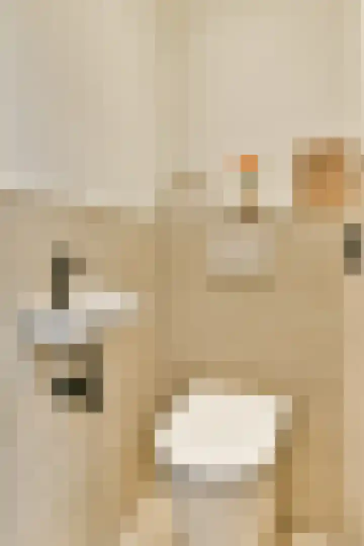 Utrechtse Veer 4 A Leiden thumbnail 17