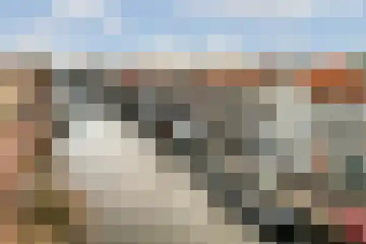Utrechtse Veer 4 A Leiden thumbnail 25