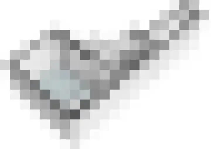 Utrechtse Veer 4 A Leiden thumbnail 33