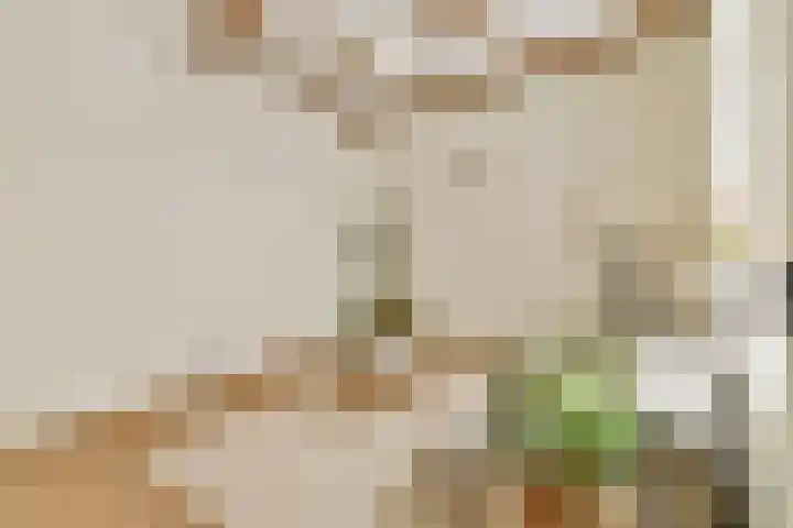 Utrechtse Veer 4 A Leiden thumbnail 8
