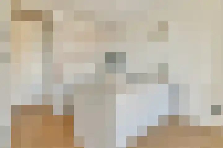 Utrechtse Veer 4 B Leiden thumbnail 12