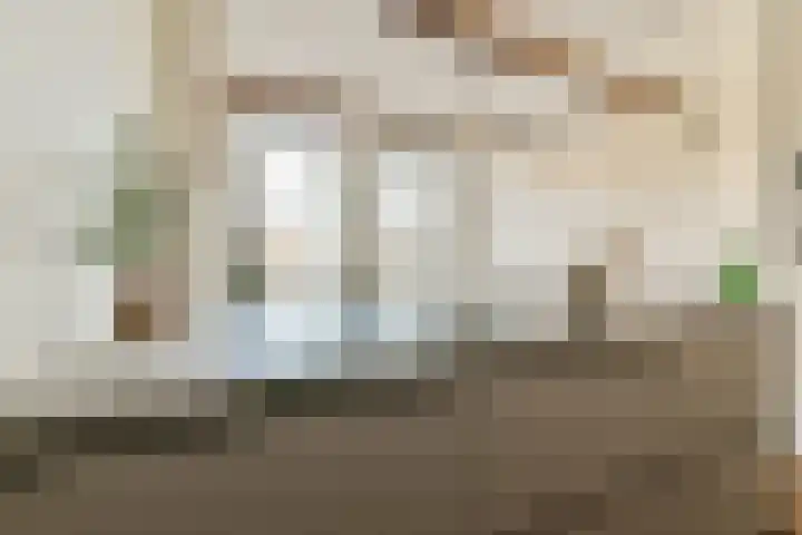 Utrechtse Veer 4 B Leiden thumbnail 13