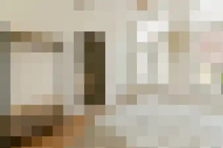 Utrechtse Veer 4 B Leiden thumbnail 17