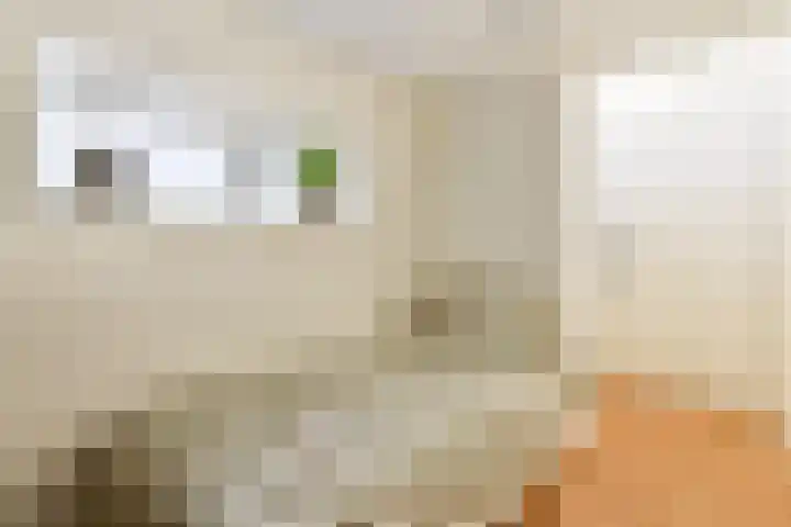 Utrechtse Veer 4 B Leiden thumbnail 18