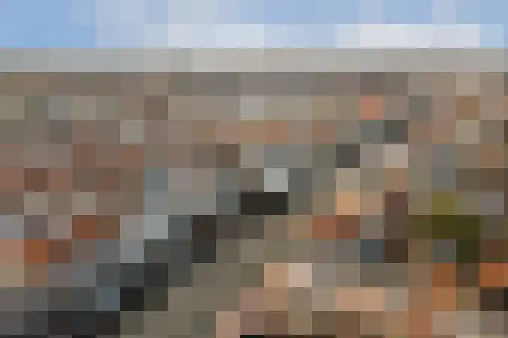 Utrechtse Veer 4 B Leiden thumbnail 26