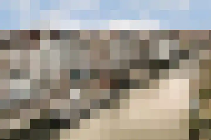 Utrechtse Veer 4 B Leiden thumbnail 29