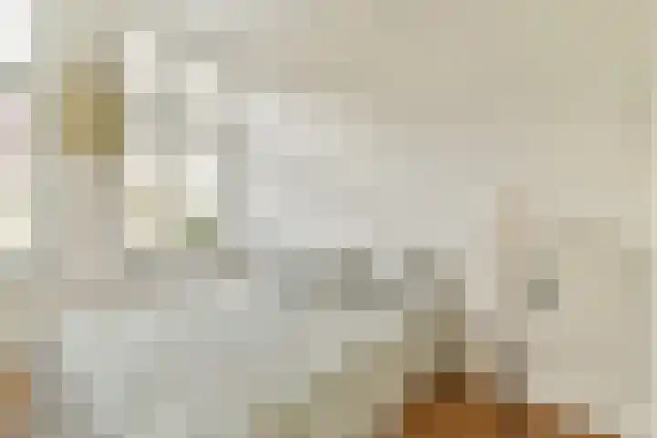Utrechtse Veer 4 B Leiden thumbnail 4