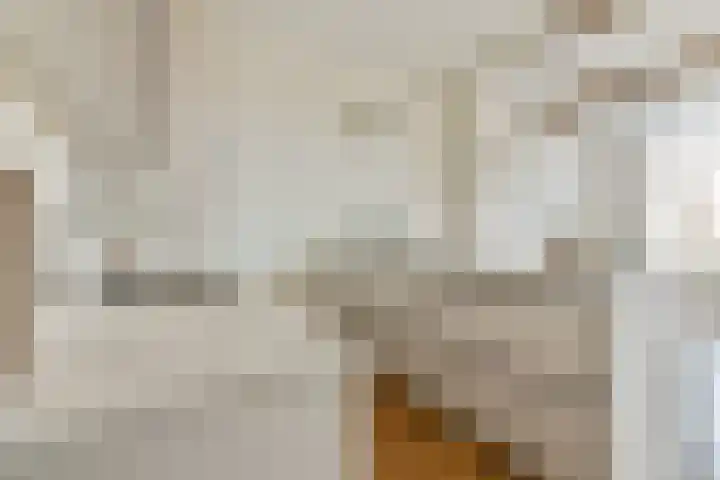 Utrechtse Veer 4 B Leiden thumbnail 9