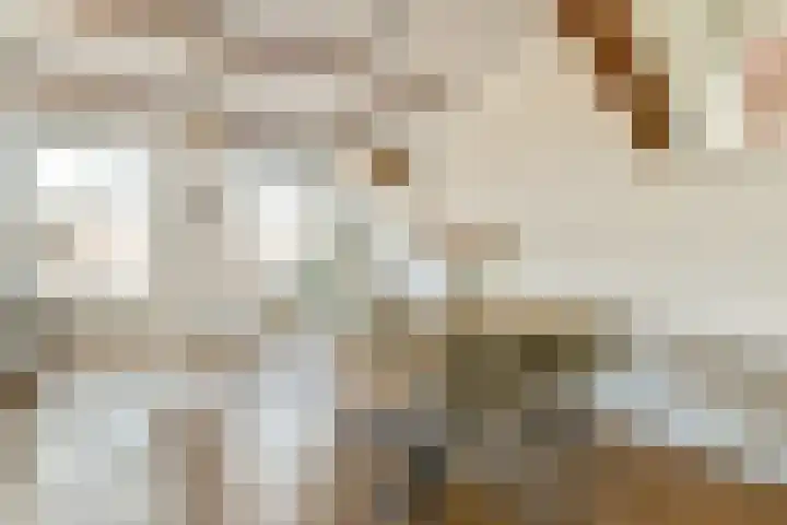 Utrechtse Veer 4 C Leiden thumbnail 10