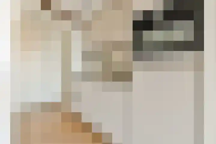 Utrechtse Veer 4 C Leiden thumbnail 12