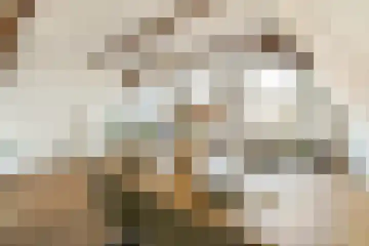 Utrechtse Veer 4 C Leiden thumbnail 13