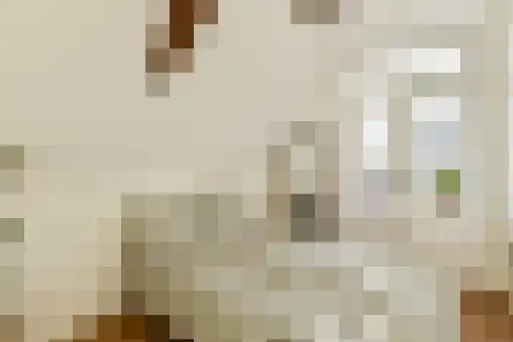 Utrechtse Veer 4 C Leiden thumbnail 15