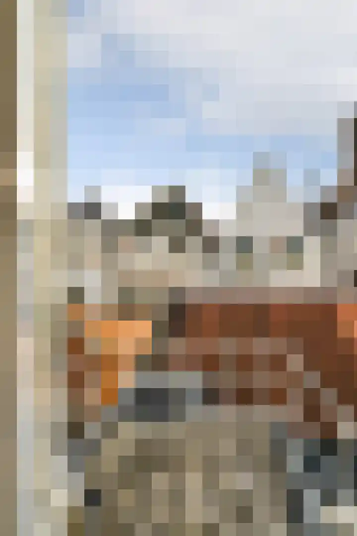 Utrechtse Veer 4 C Leiden thumbnail 17